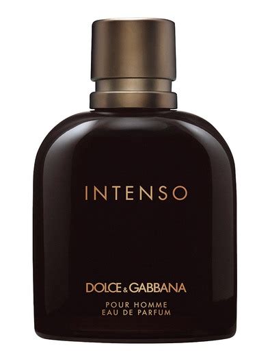 dolce and gabbana oceania